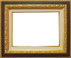 ガイマス６０ゴールド