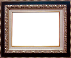 ガイマス６０シルバー