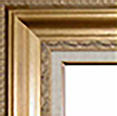 ティンベル拡大